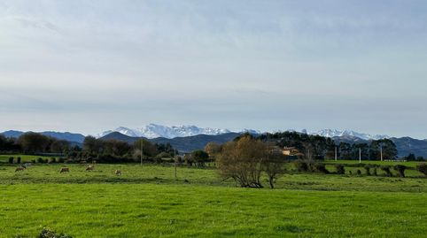 Venta de parcelas llanas,  edificables cerca  del  mar y con vistas a los Picos de Europa en PimiangoAsturias entre Llanes y San V, immagine 3