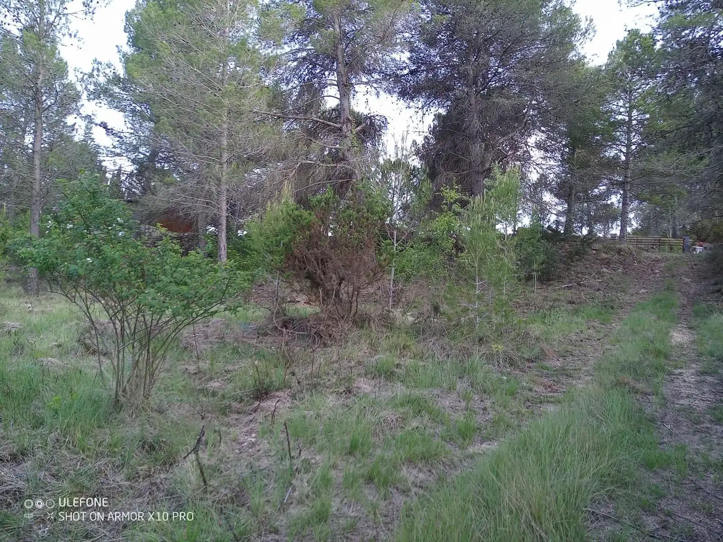 Terreno residencial en venta en Santa Oliva, imagen 5
