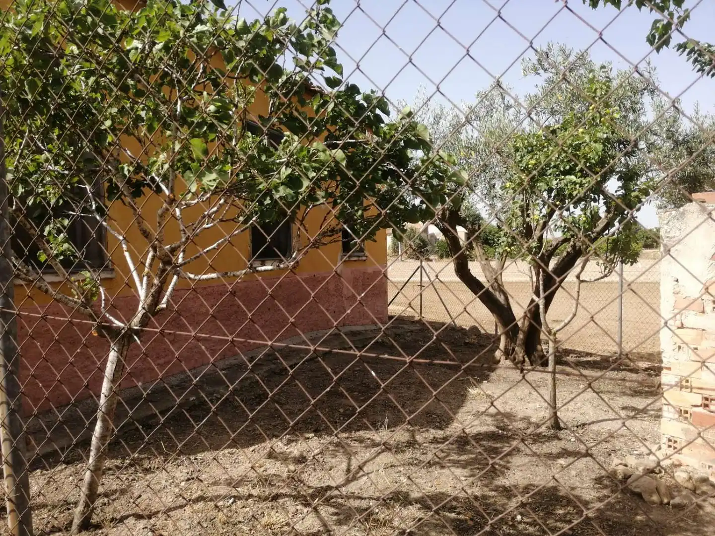 Jardí de Casa o xalet en venda en Orihuela