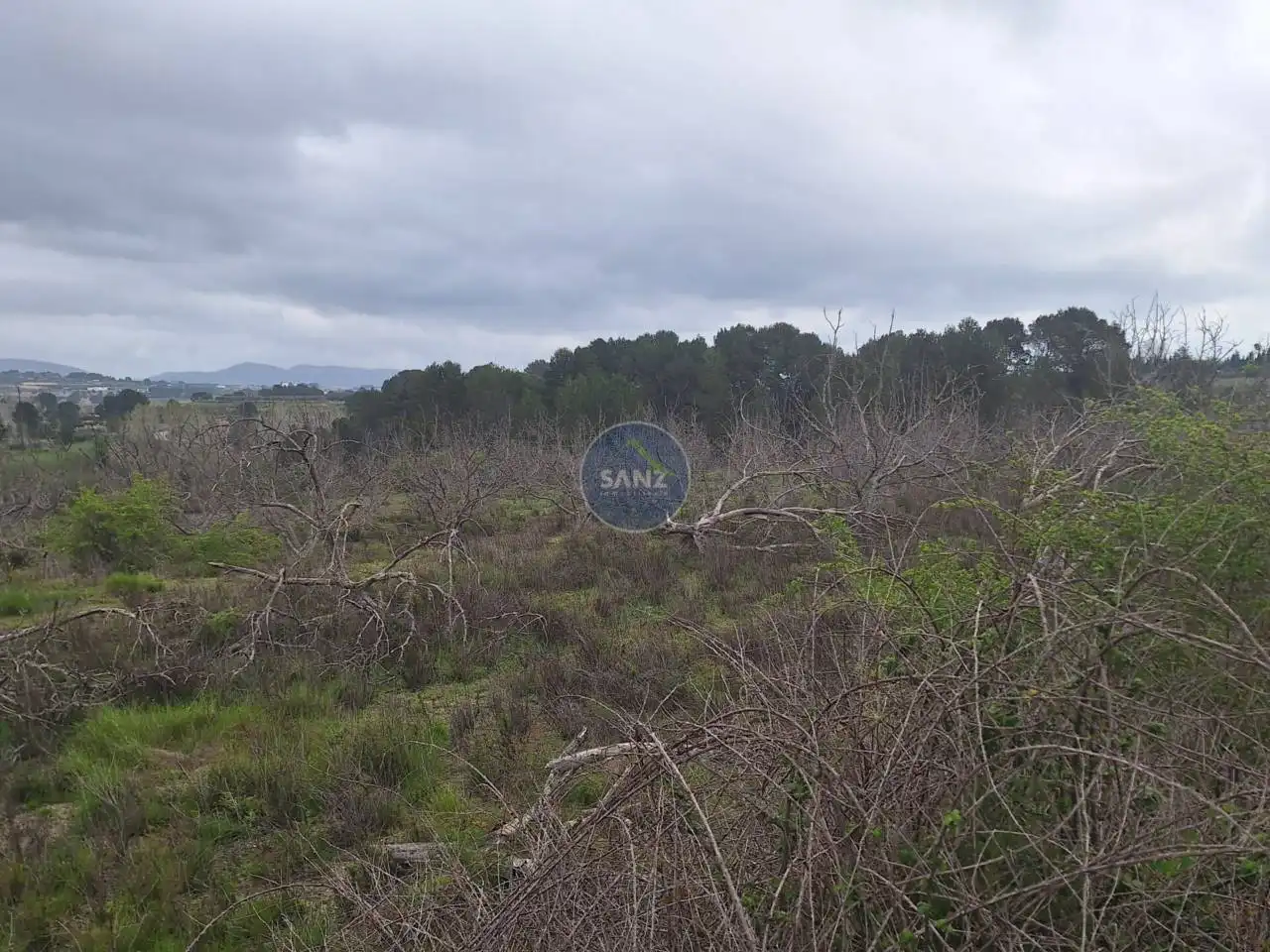 Terreny rústic en venda a Pda Barranc de l´Algar, imagen 7
