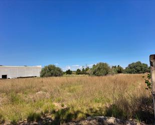 Industrial land for sale in Dénia