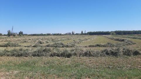 Photo 2 of Land for sale in San Gregorio, Zaragoza