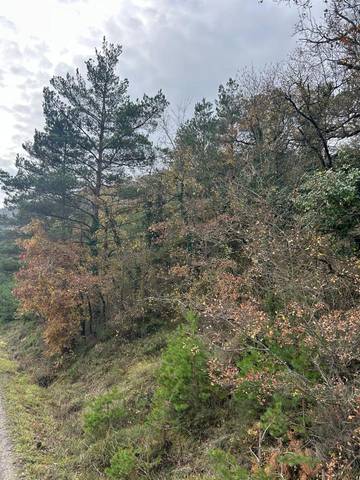 Terreno en Venta en barrio de aprikano en Kuartango