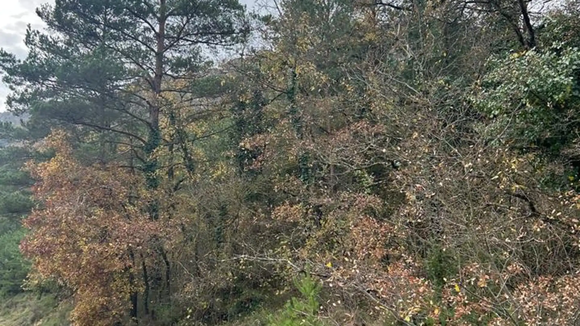 Grundstücke zum Verkauf in Kuartango