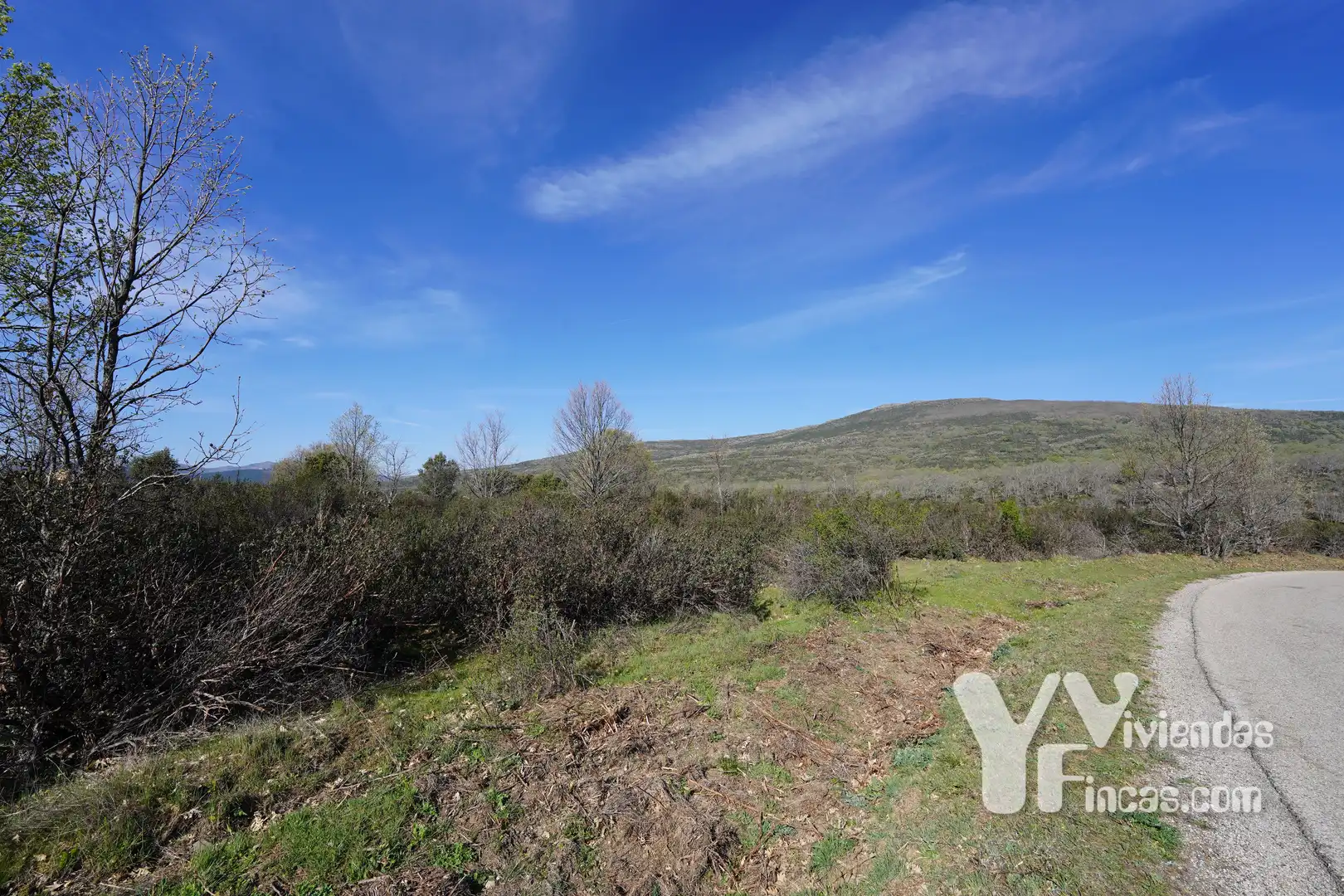 Terreno rústico en venta en Campillo de Ranas, imagen 13