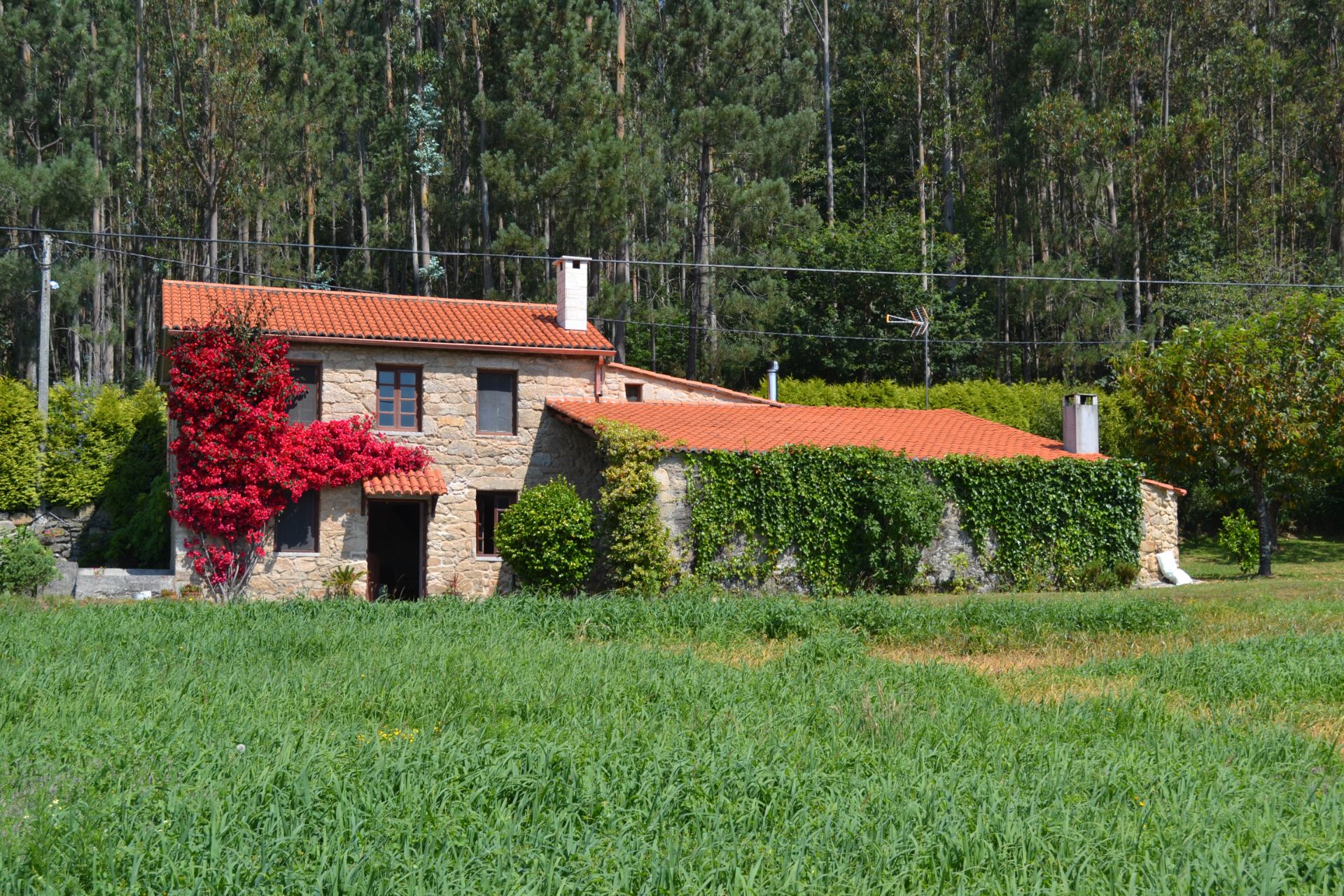 Exterior view of Country house for sale in Vilarmaior  with Heating, Private garden and Furnished