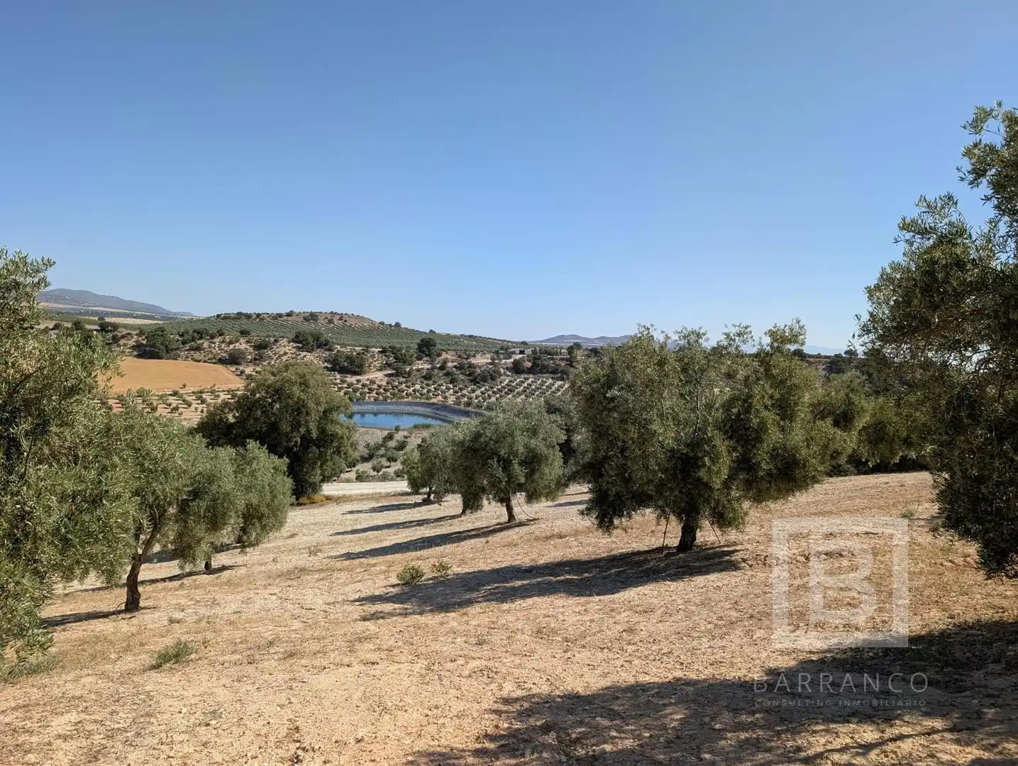 Terreno rustico in vendita a Maracena, imagen 2