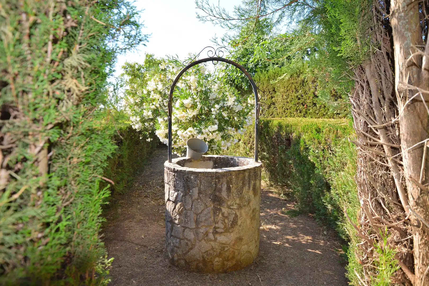 Jardín de Finca rústica en venta en Setenil de las Bodegas con Jardín privado, Terraza y Trastero