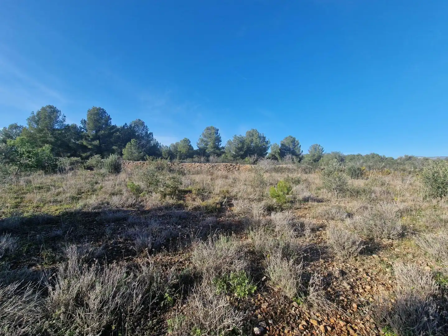 Terreno en venta en 43817, 17, El Pont d'Armentera