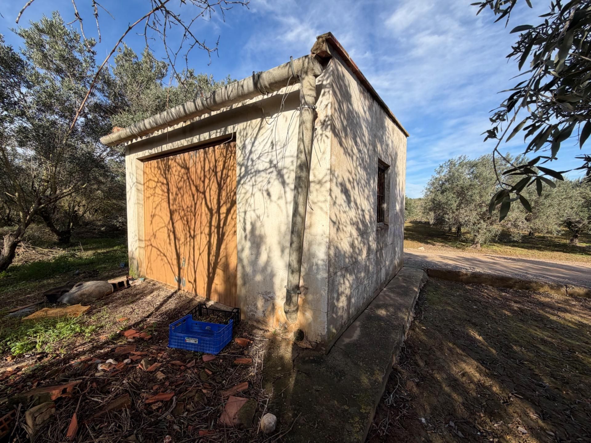 Casa o xalet en venda en Llíria