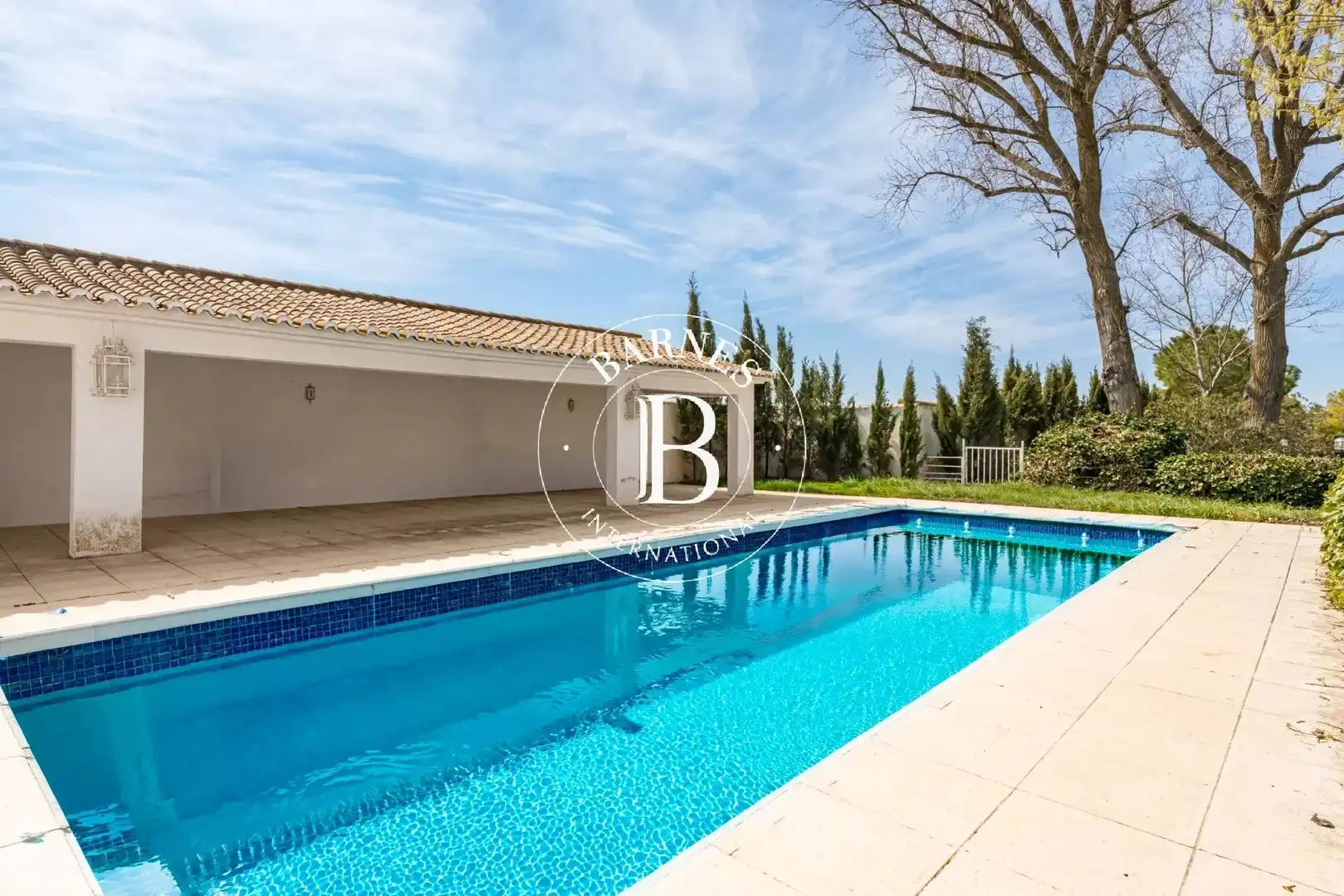 Piscina de Casa o chalet en venta en Alcázar de San Juan con Jardín privado, Piscina y Amueblado