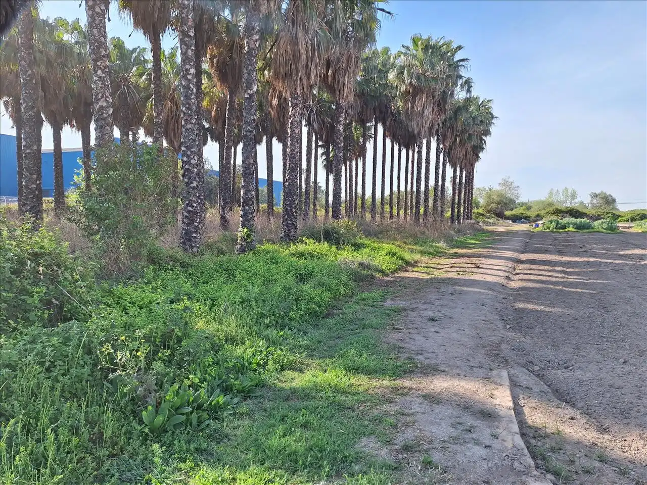 Land for sale in El Puig de Santa Maria