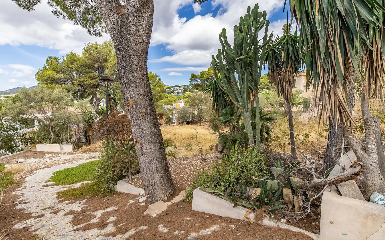 Lands and plots for sale in Portals Nous, imagen 7