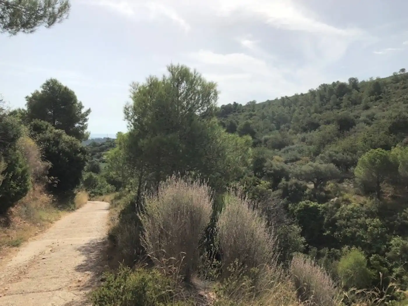 Rural land for sale in Alcanar