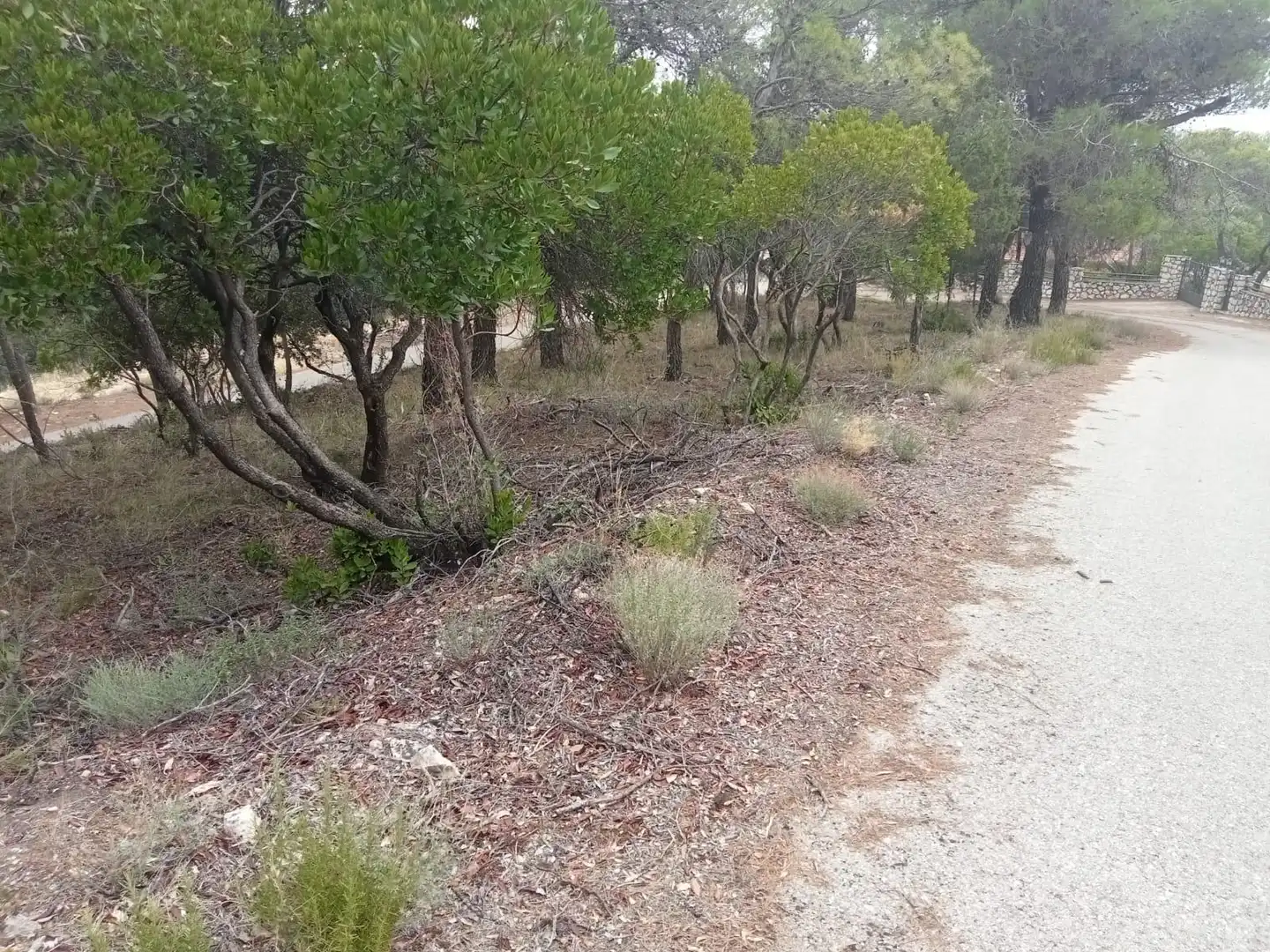 Wohnbaugrundstück zum Verkauf in Urbanizacion NUEVA SIERRA FZ, imagen 2