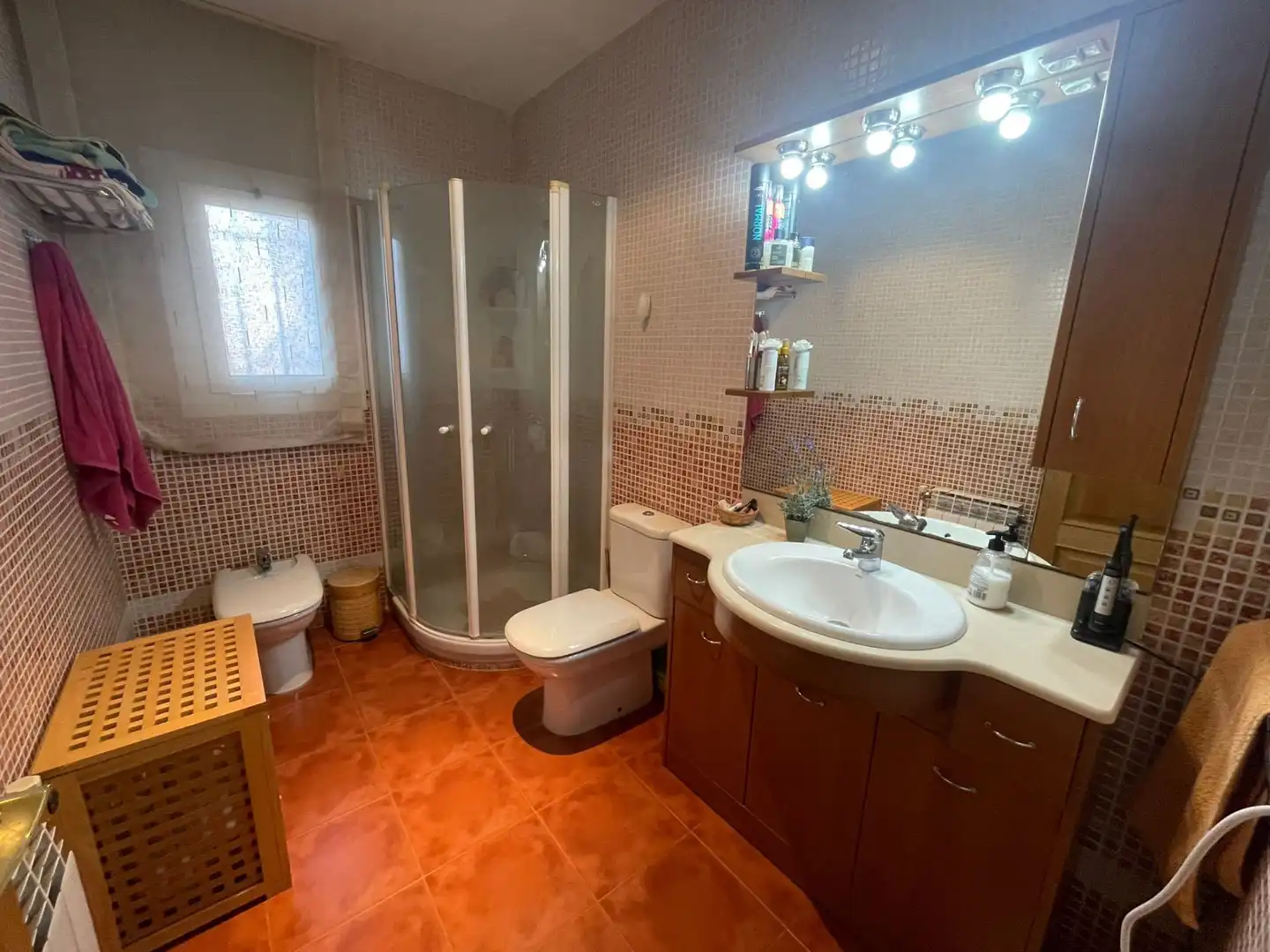Casa o chalet en venta en Mas Mora - Sant Daniel
