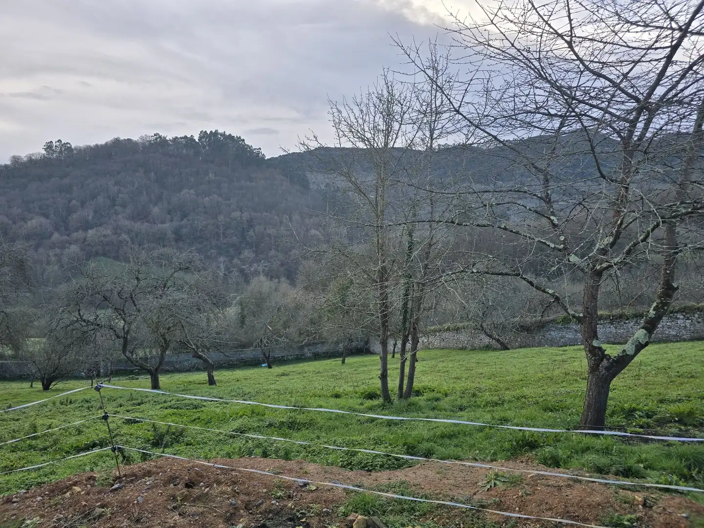 Finca rústica en venta en Parroquias Norte - Naranco