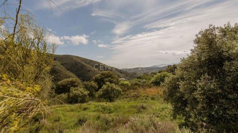 Foto 5 de Casa o chalet en venta en Calle San Francisco, Lagos, Spain, 42, Vélez de Benaudalla, Granada