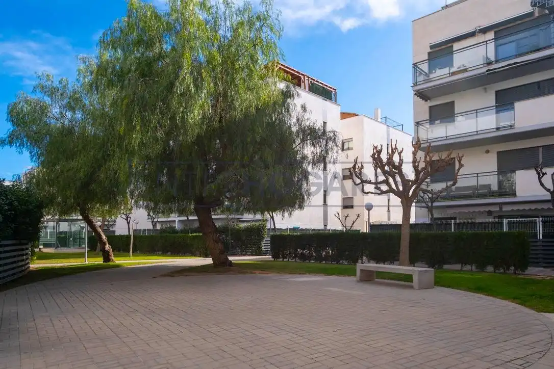Vista exterior de Planta baja en venta en Alfara del Patriarca con Aire acondicionado, Calefacción y Jardín privado
