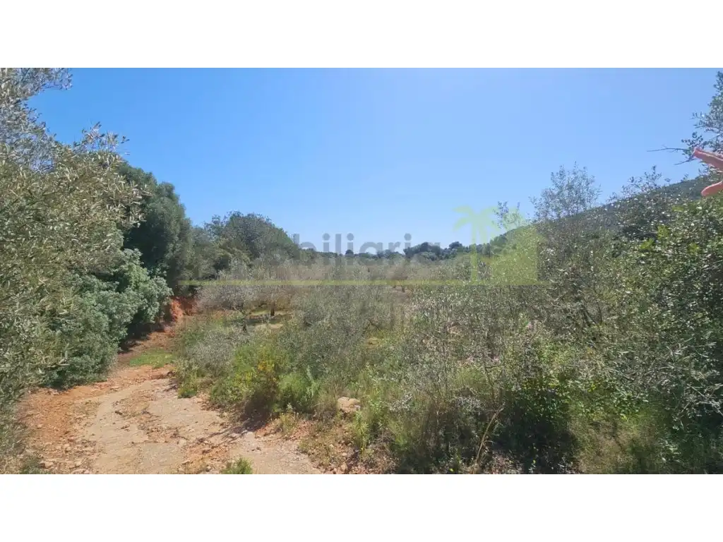 Terreny residencial en venda a Partidas de interior - Zona Rústica, imagen 15