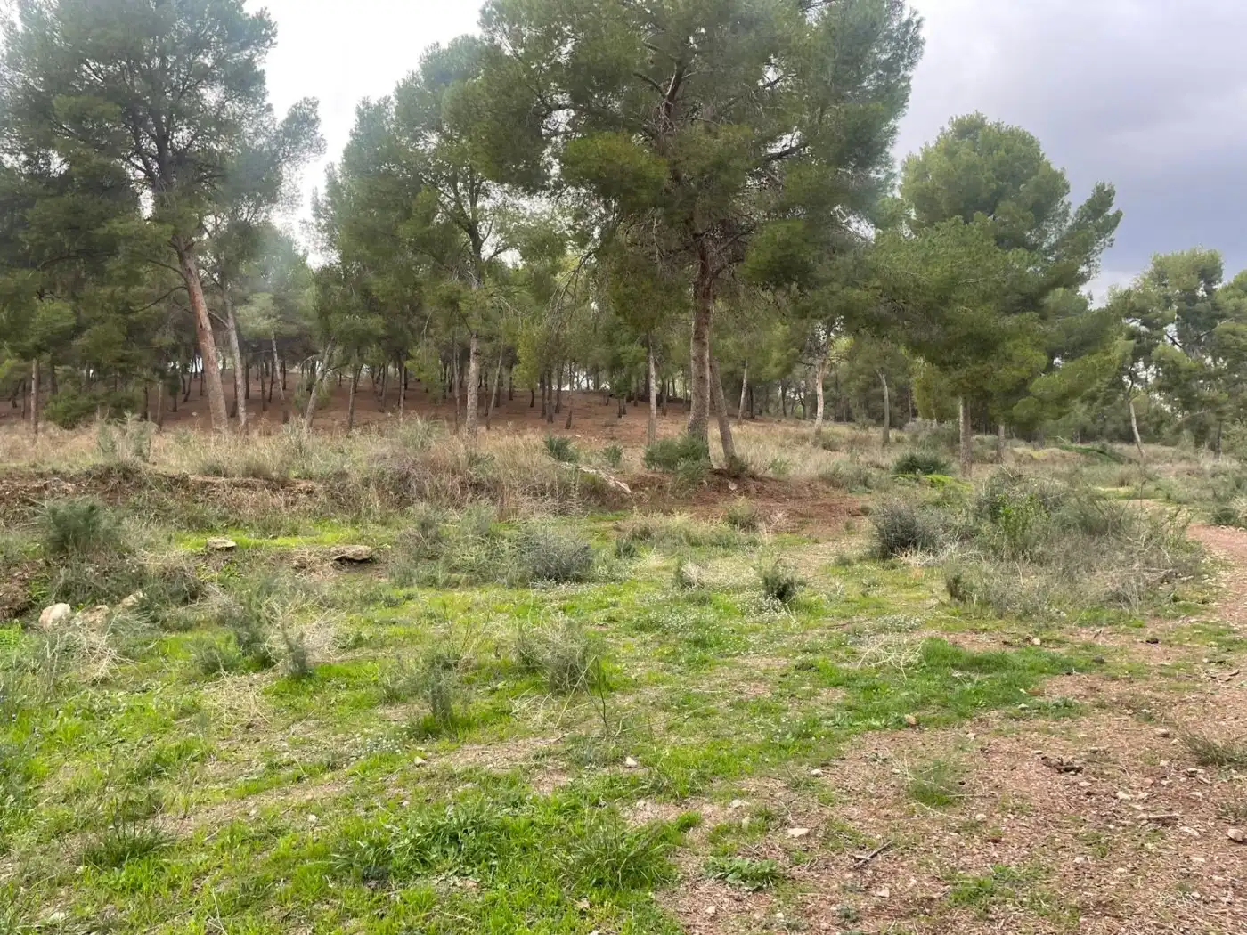 Terreno residenziale in vendita a Pedanías Este, imagen 9