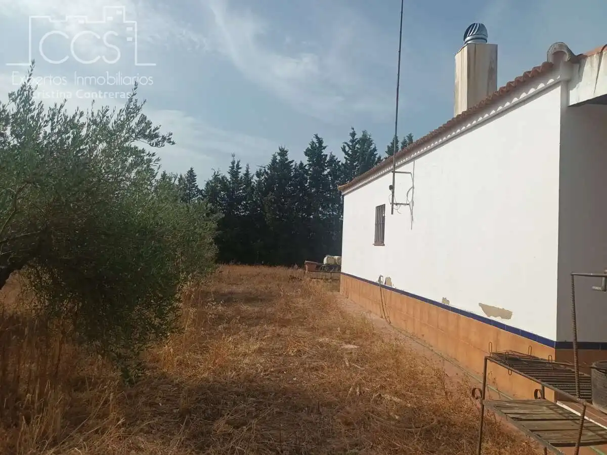 Casa rústica amb jardí en venda a Almonte ciudad, imagen 11