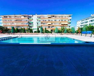 Swimming pool of Apartment for sale in Blanes  with Terrace, Swimming Pool and Community pool