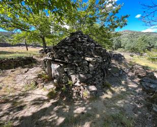 Exterior view of Land for sale in Rebollar (Cáceres)