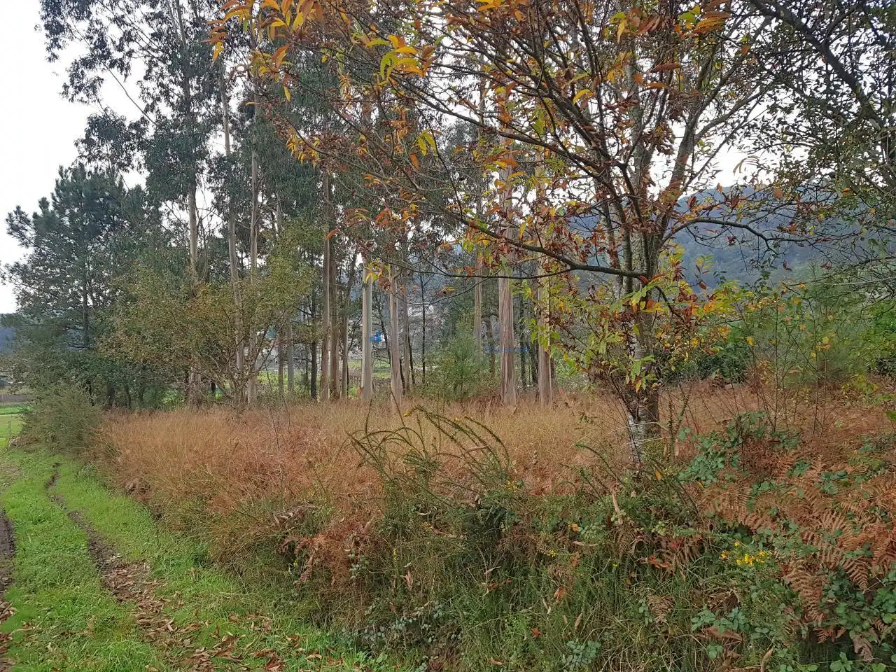 Terreny residencial en venda a Tomiño, imagen 5