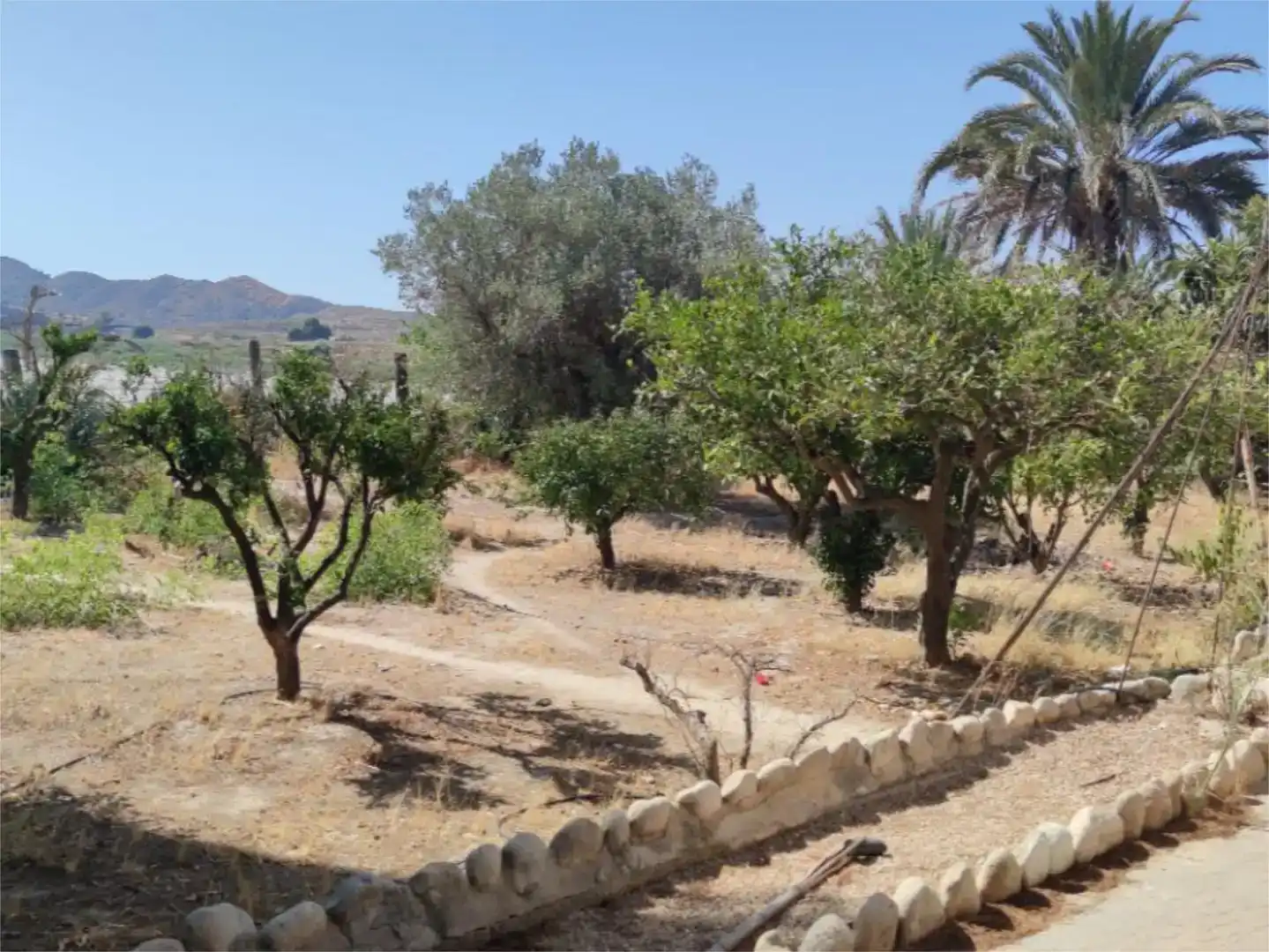 Finca rústica en venda en Novelda amb Aire condicionat i Piscina