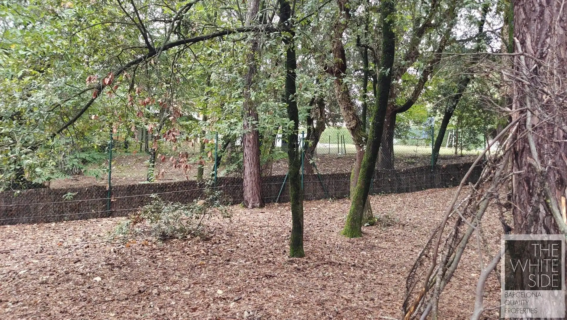 Terrenos y solares en venta en Viladrau, imagen 19