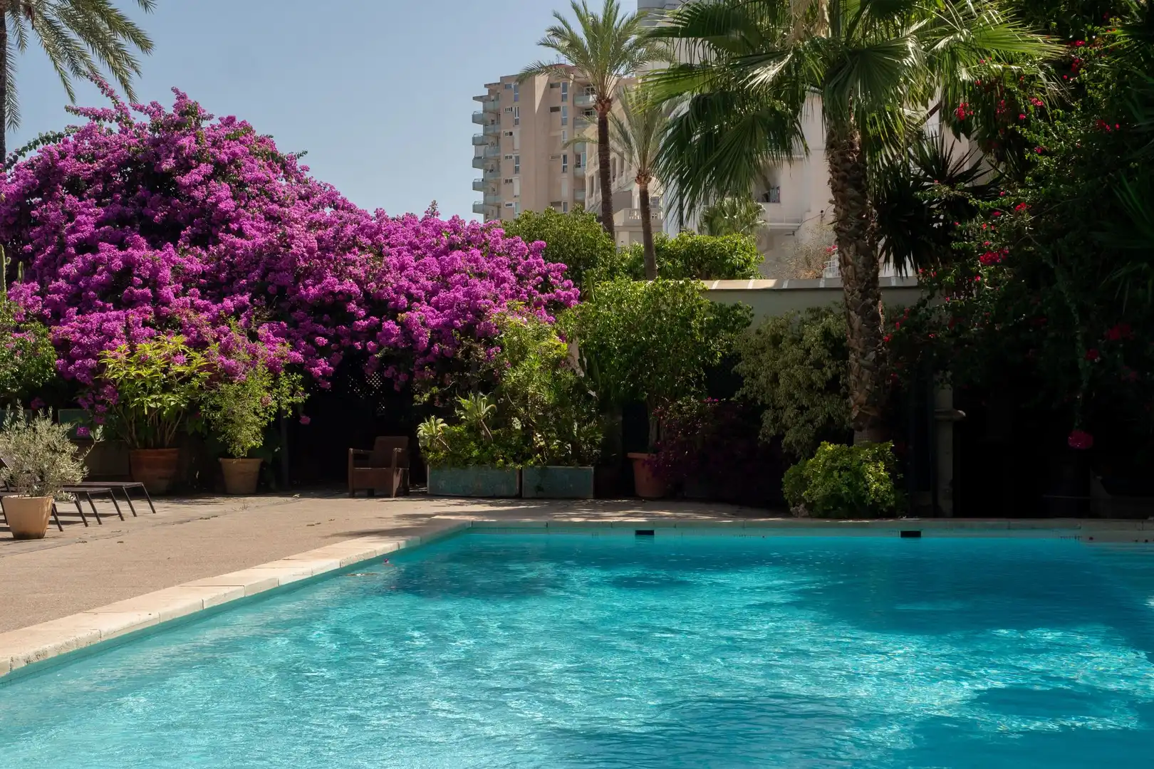 Apartamento en venta en El Terreno