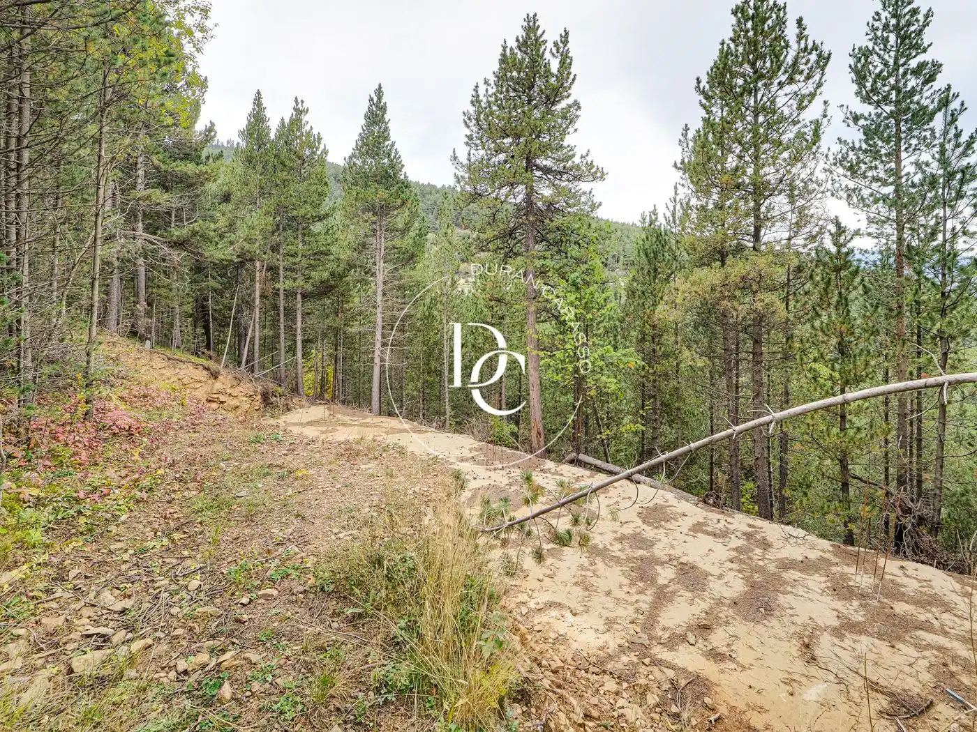 Residential for sale in Alp