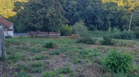 en Barro, immagine 5