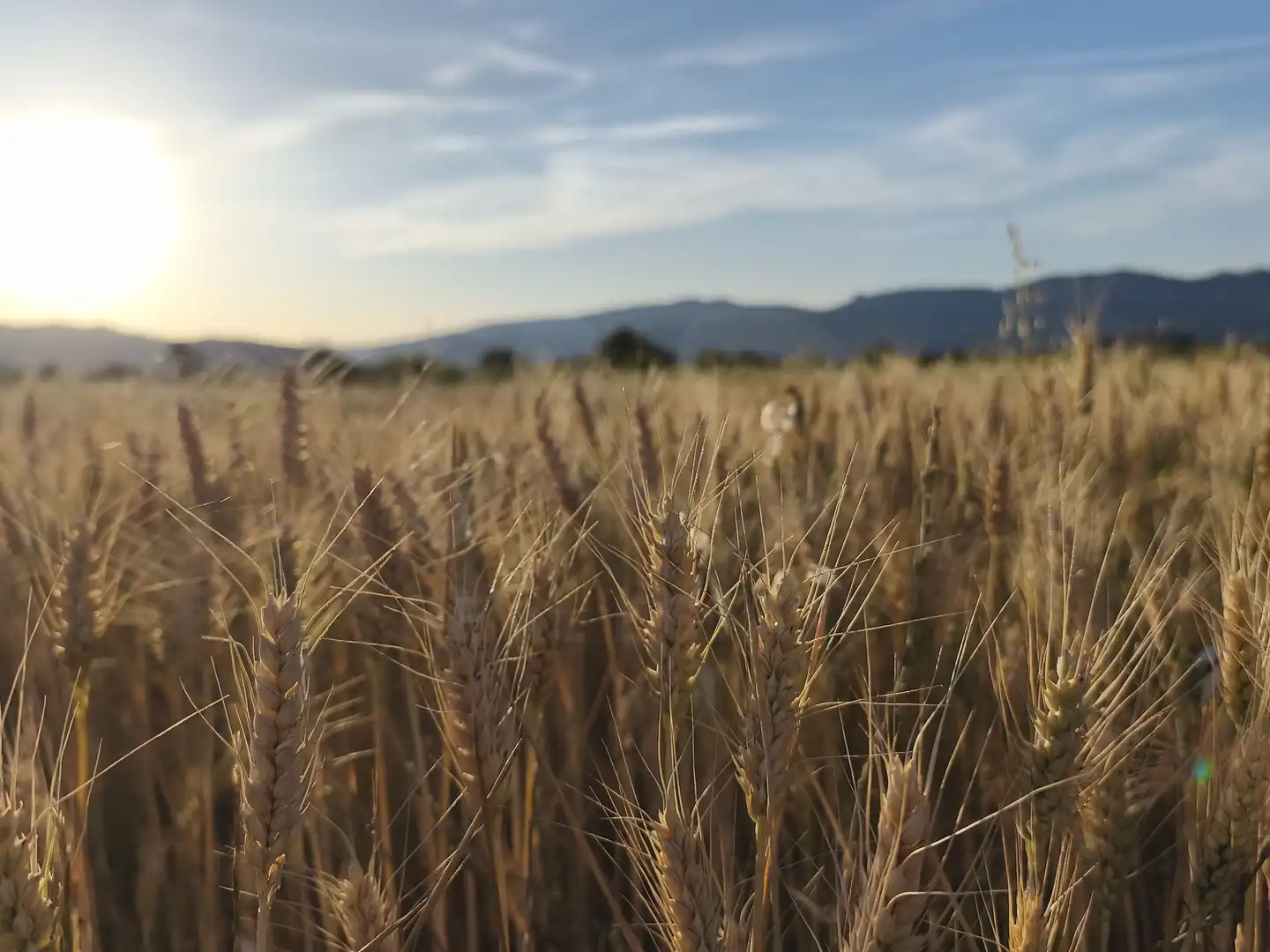 Terreno rustico in vendita a Moratalla