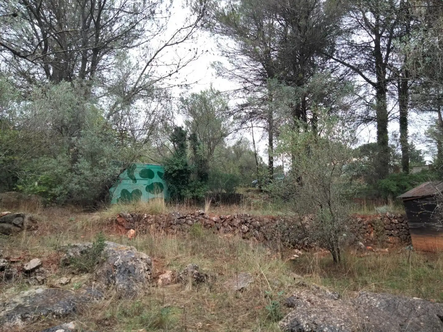 Rural land for sale in Vilallonga / Villalonga, imagen 2