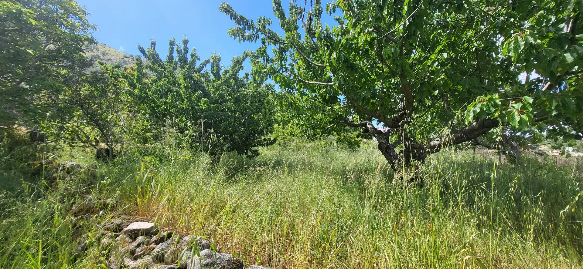 Grundstücke zum Verkauf in Villar de Plasencia