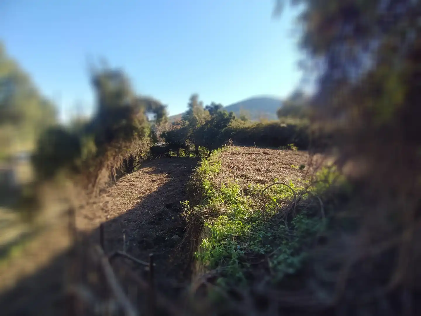 Wohnbaugrundstück zum Verkauf in Carretera Corbera a Gelida 83, imagen 16