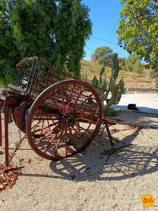Vista exterior de Finca rústica en venda en Lorca amb Piscina i Balcó