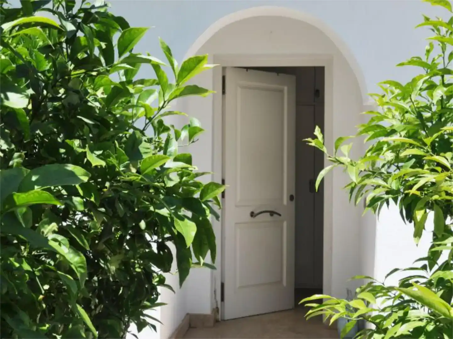 Casa o chalet en venta en Calvià con Aire acondicionado, Jardín privado y Piscina