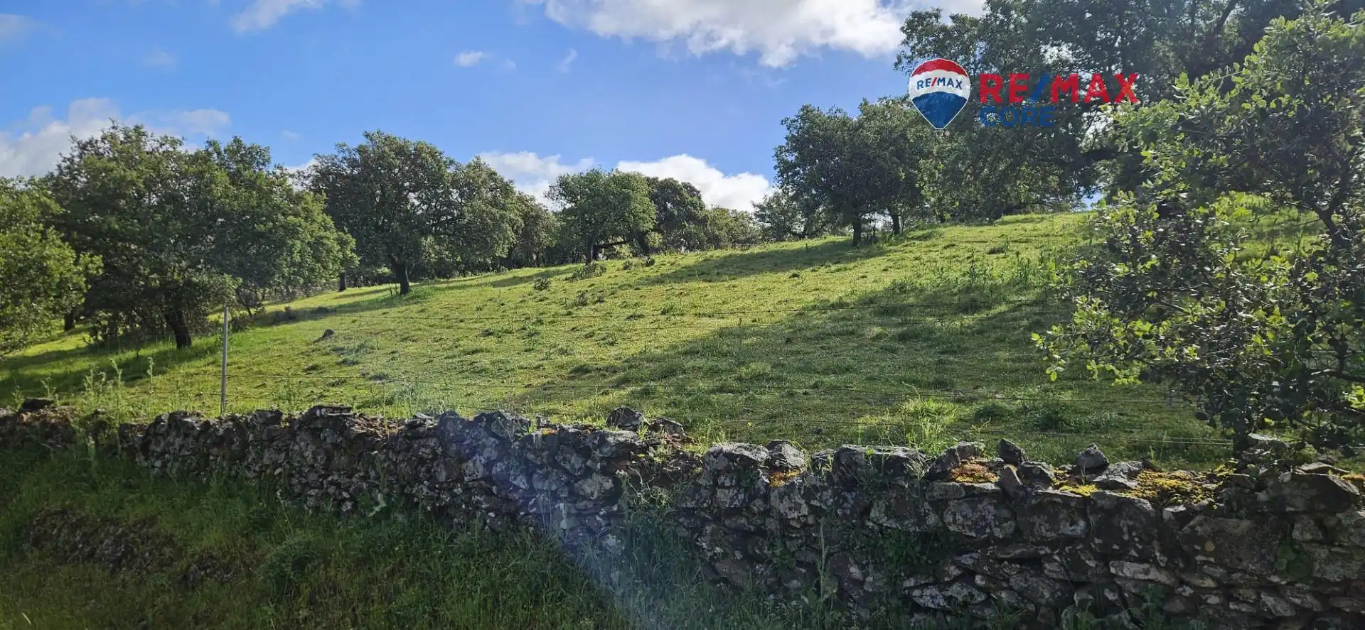 Terreni e lotti in vendita a Siruela, imagen 41