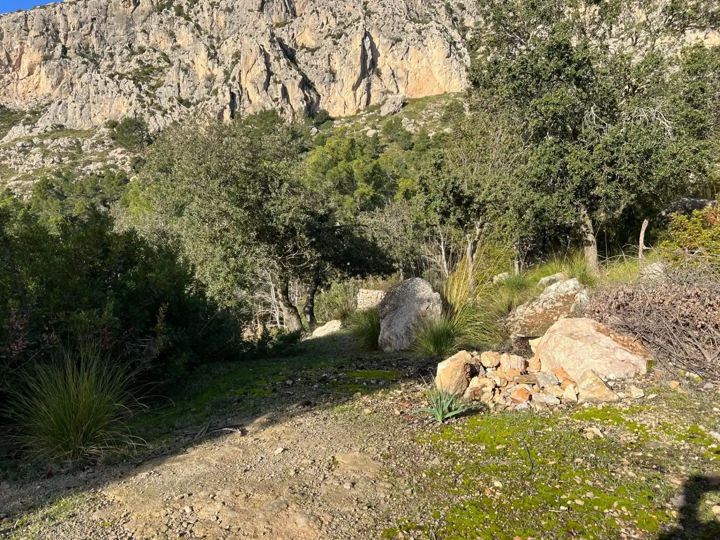 Casa con piscina en venta en Puigpunyent, imagen 26