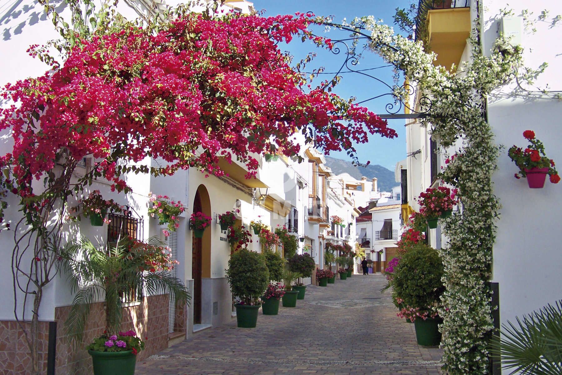 Exterior view of Single-family semi-detached for sale in Estepona