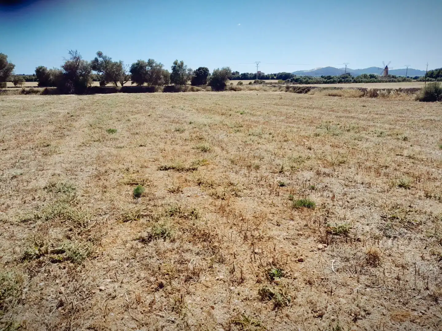 Finca rústica en venda en Porreres