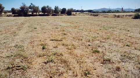 Foto 2 de Finca rústica en venda a Carrer de la Lluna, 8, Porreres, Illes Balears
