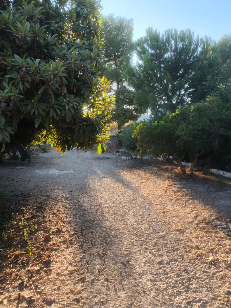 Terreni e lotti in vendita a Mengíbar, imagen 5
