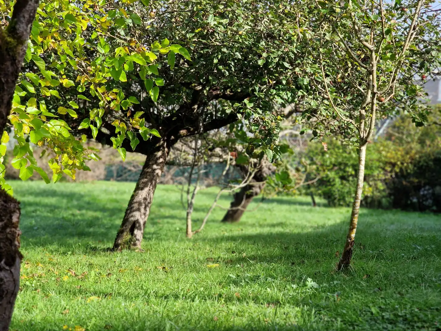 Villa con giardino in vendita a San Claudio - Trubia - Las Caldas, imagen 34