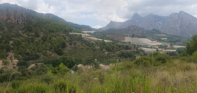 Terreno residencial en Venta en Bolulla