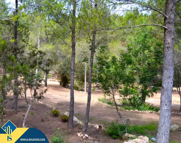 Jardín de Casa o chalet en venta en Santa Eulària des Riu con Terraza, Piscina y Amueblado
