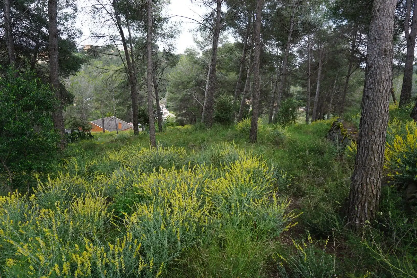 Terreno residenziale in vendita a Calle Ferreteries, imagen 6